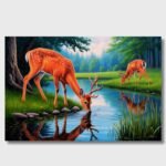 Deer Drinking Water in Forest